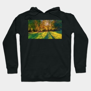 Mystical Fall Trees Hoodie